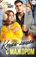 Обложка произведения Кошки-мышки с мажором