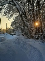 Обложка произведения Мысли вслух