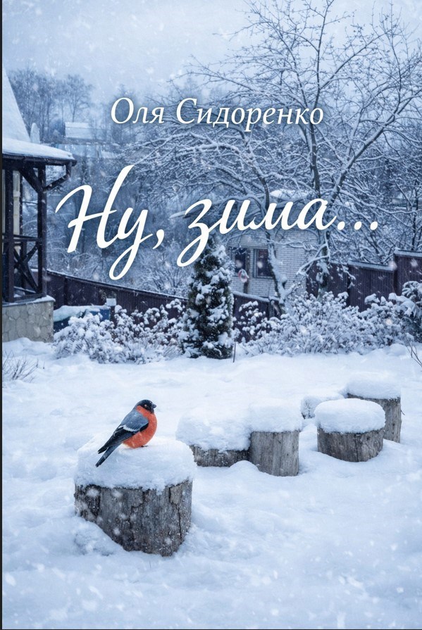 Обложка книги «Ну, зима…»