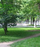 Обложка произведения Дикая тропа