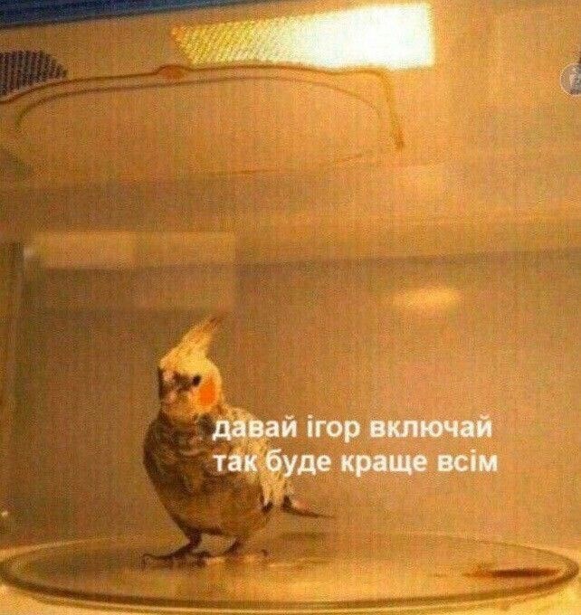 Обложка книги «НеДоПоэзия»