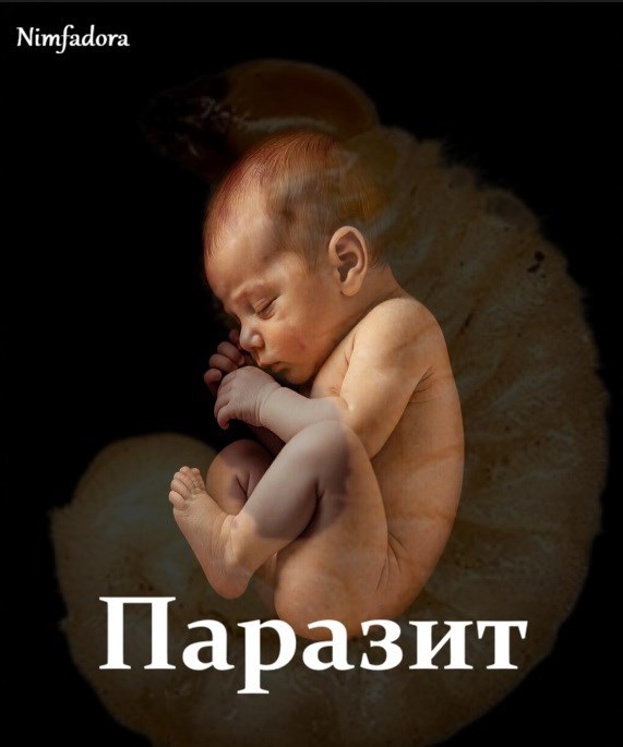 Обложка книги «Личинка»