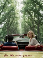 Обложка произведения 9. На Жёлтой дороге (Ты разбил)