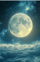 Обложка произведения СВОи