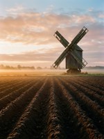 Обложка произведения Пашем без лошади и трактора