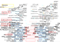 Потомки Михаила III