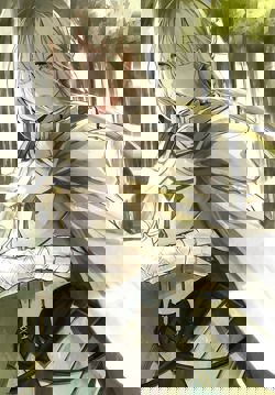 Бедивер, рыцарь Ордо...