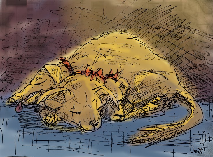 Иллюстрация