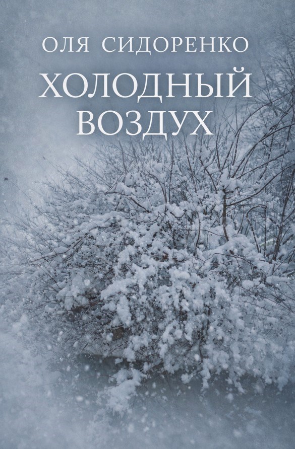 Обложка книги «Холодный воздух»