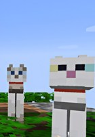 Обложка произведения Лапы, грязь и римские амбиции