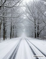 Обложка произведения Белая вьюга