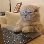 Обложка произведения Очередные зарисовки очередного безымянного писателя