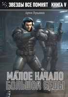 Обложка произведения Звезды все помнят. Книга V. Малое начало большой беды