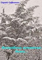 Обложка произведения Волшебные мгновения зимы