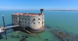 Всеми любимый Боярд