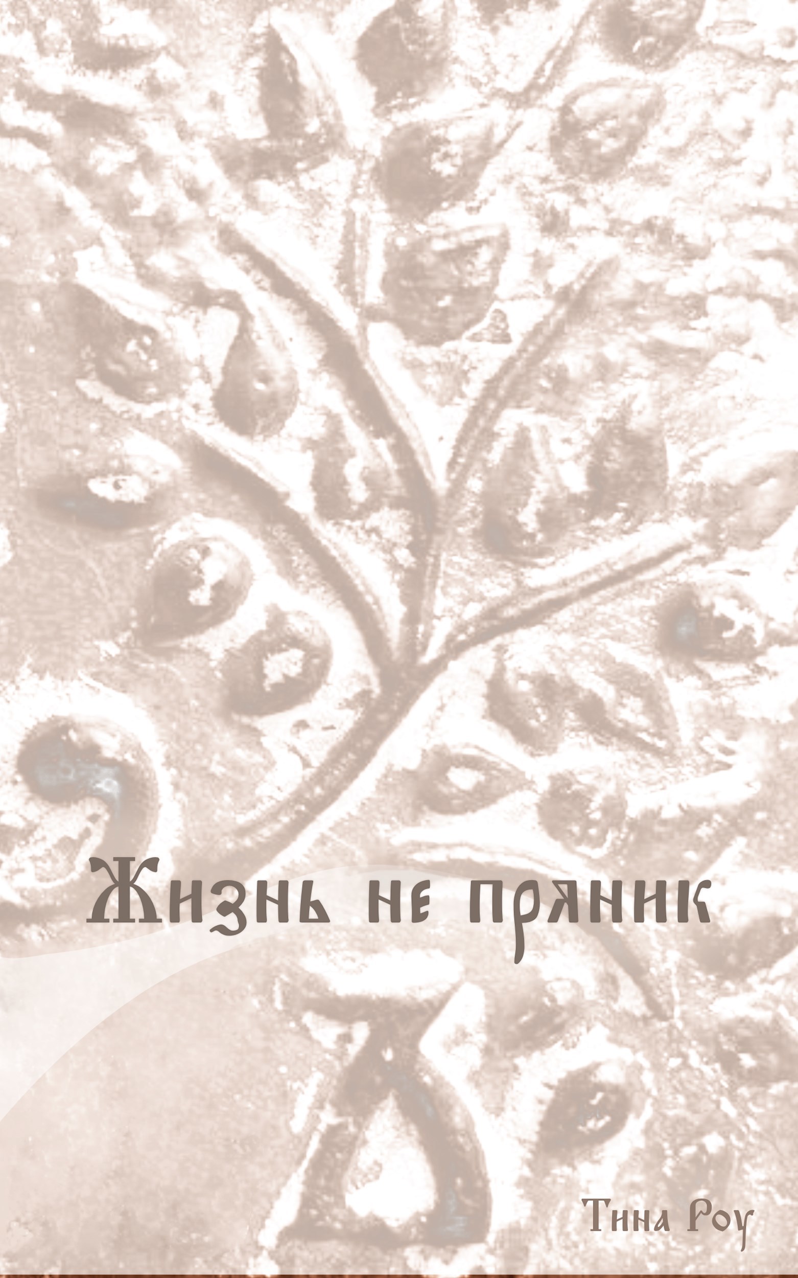 Обложка книги «Жизнь не пряник»