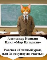 Обложка произведения «Главный урок, или За секунду до счастья»