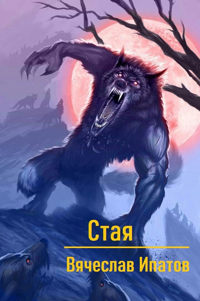 Обложка книги «Стая»