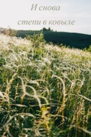 Обложка произведения И снова степи в ковыле
