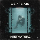 Обложка произведения Флегматоид