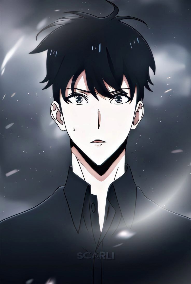 Обложка книги «Серое в Цветное»