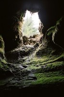 Обложка произведения Что вы знаете о драконах?