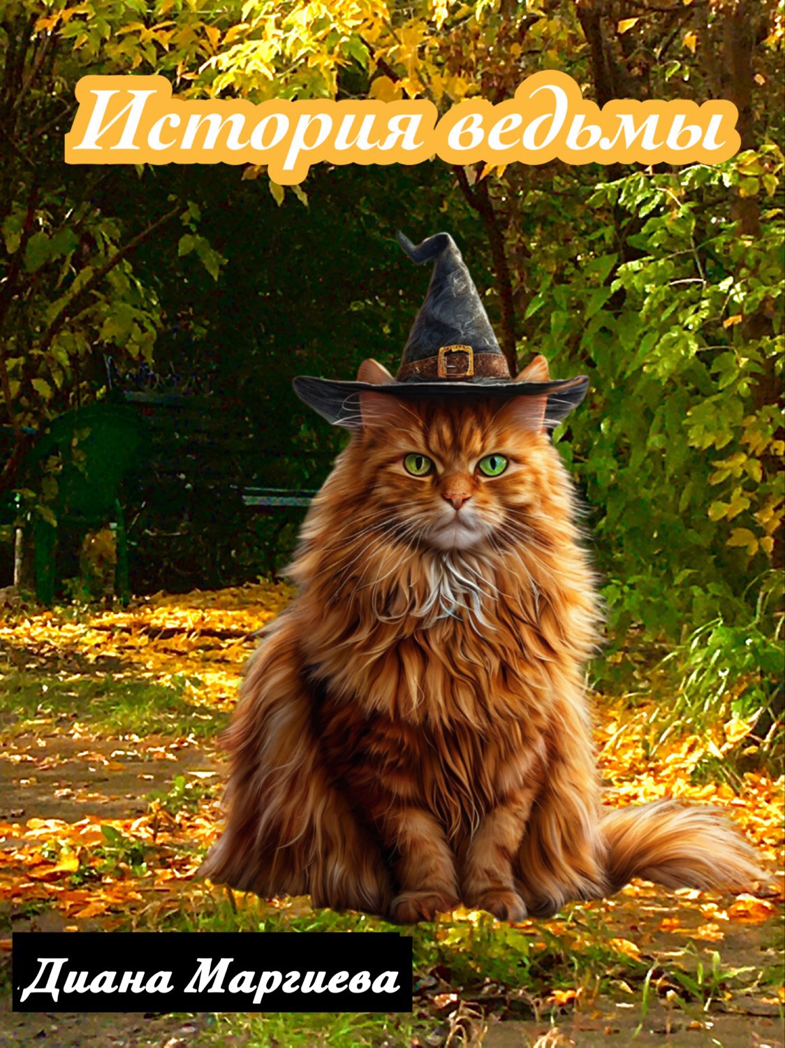 Обложка книги «История ведьмы»