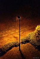 Обложка произведения Дождь следом