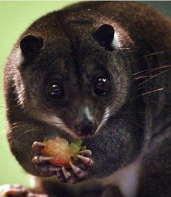 2170 год Млечный путь....