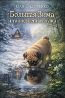 Обложка произведения Большая Зима и таинственная лужа