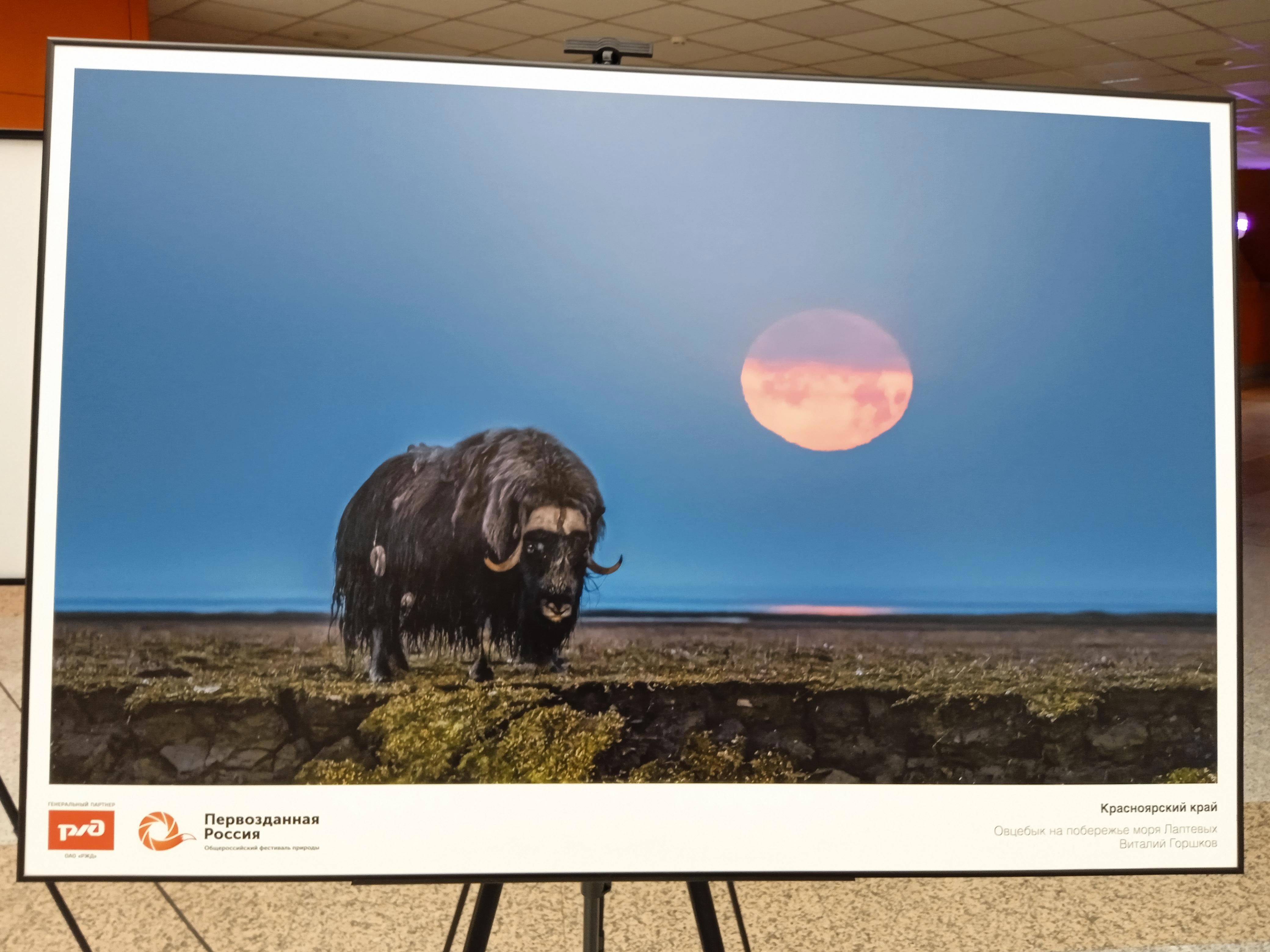 Возвращение. Или точка, которая оказалась многоточием - Виктор Агеев-Полторжицкий