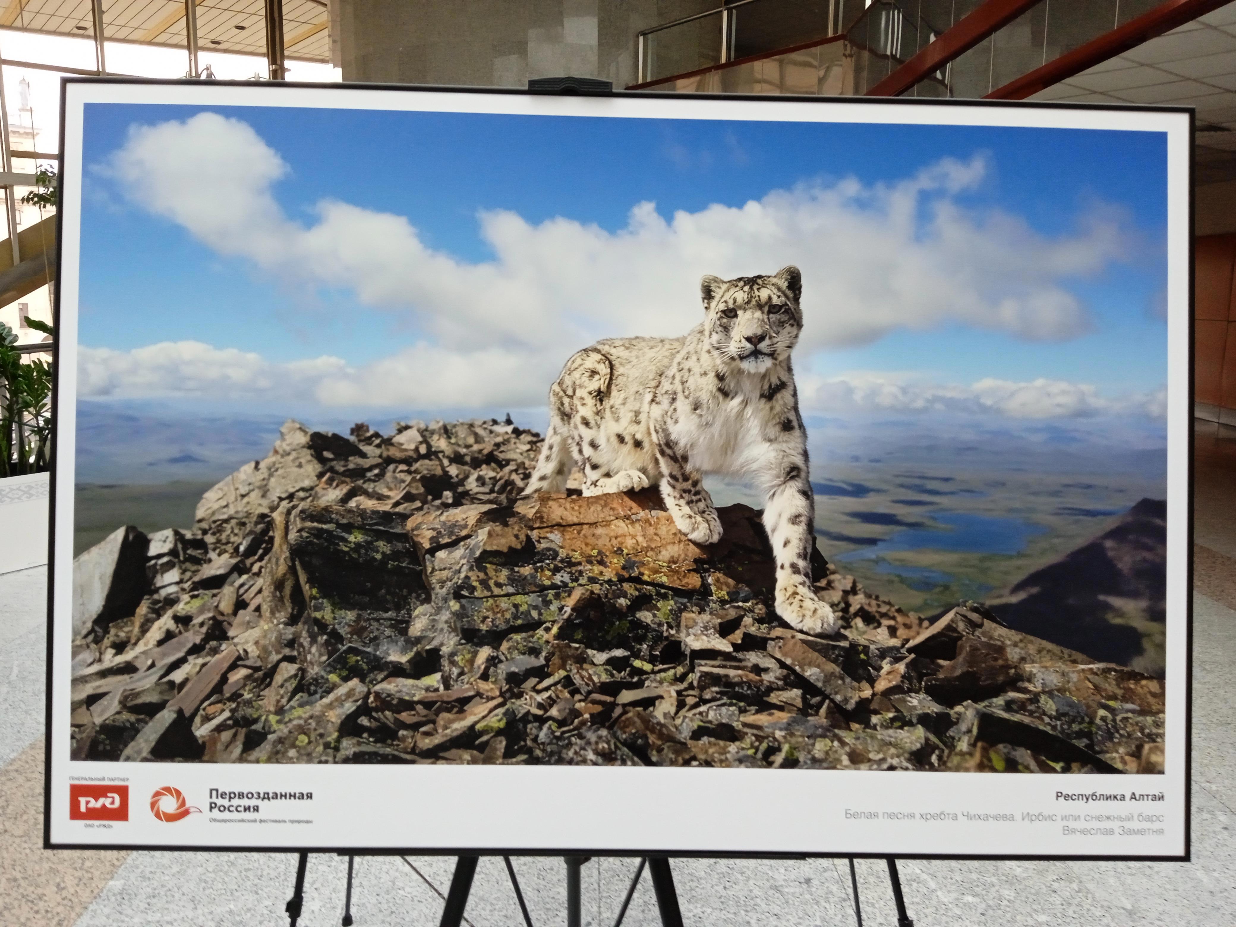 Возвращение. Или точка, которая оказалась многоточием - Виктор Агеев-Полторжицкий