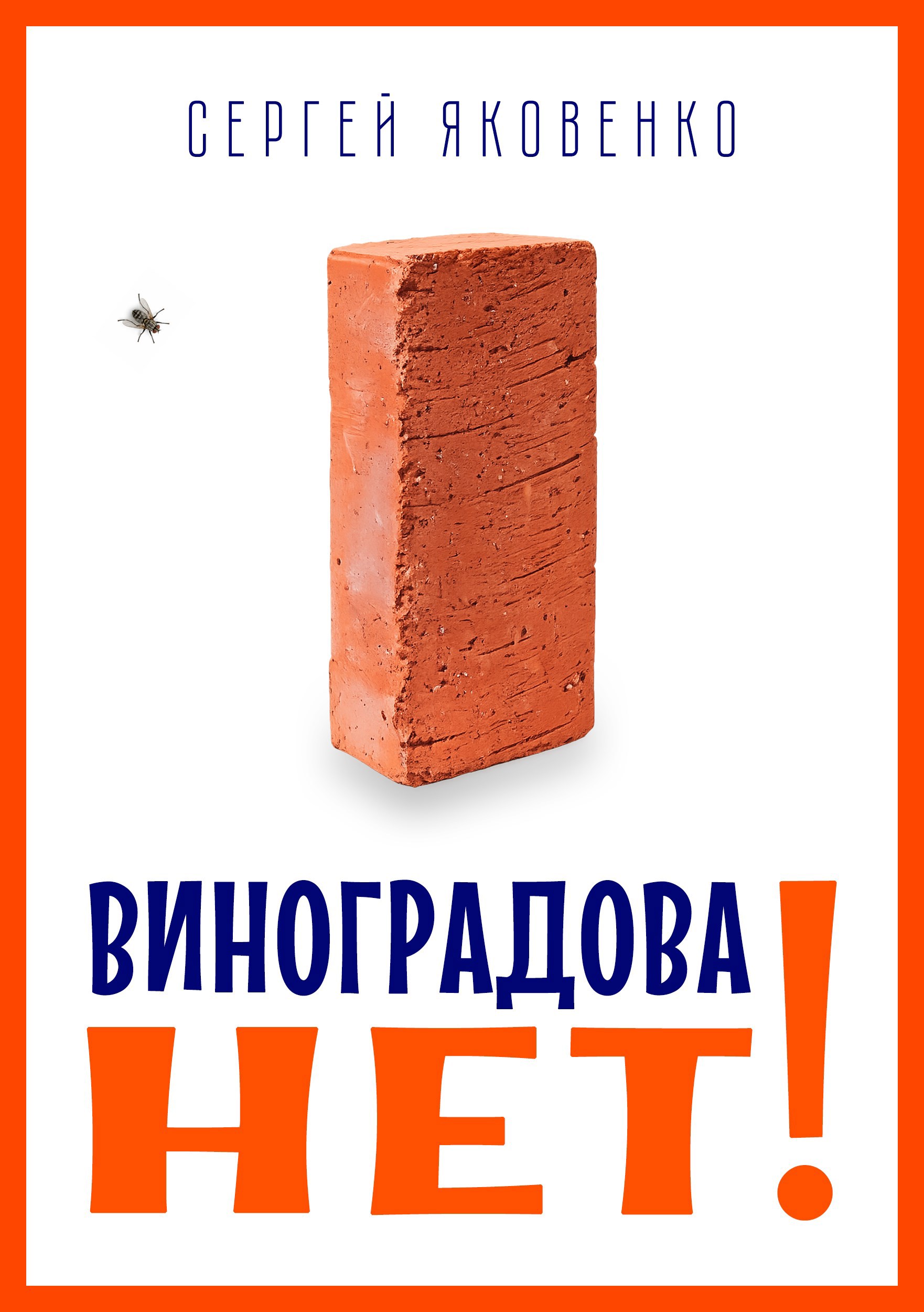 Обложка книги «Виноградова НЕТ!»