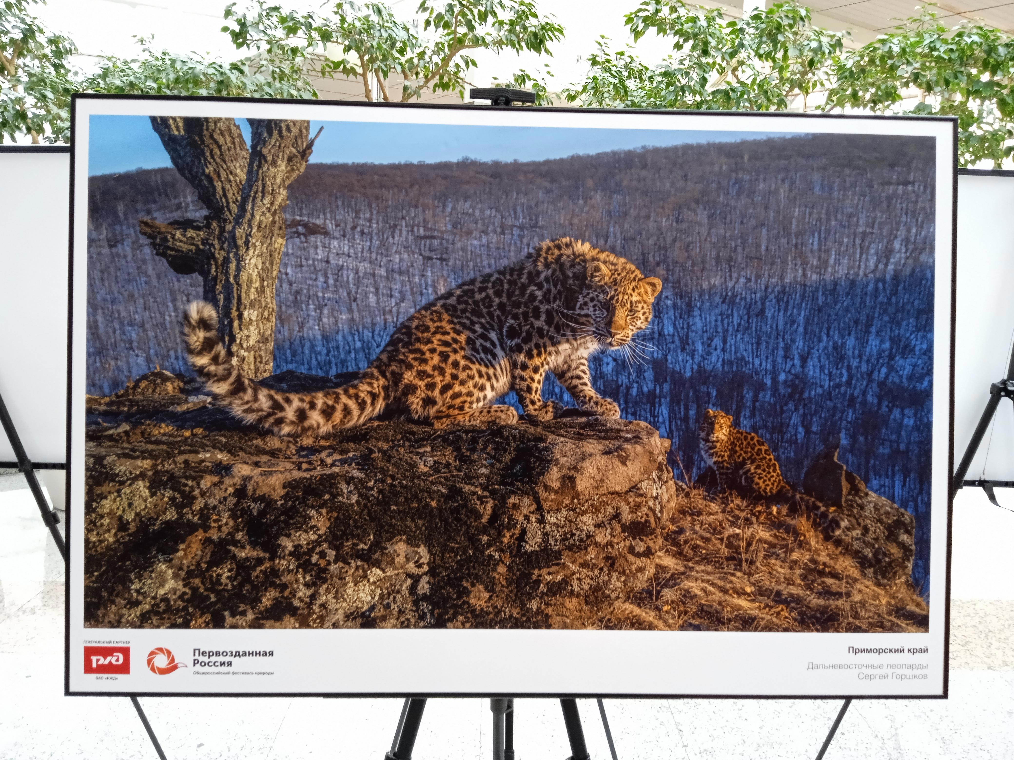 Возвращение. Или точка, которая оказалась многоточием - Виктор Агеев-Полторжицкий