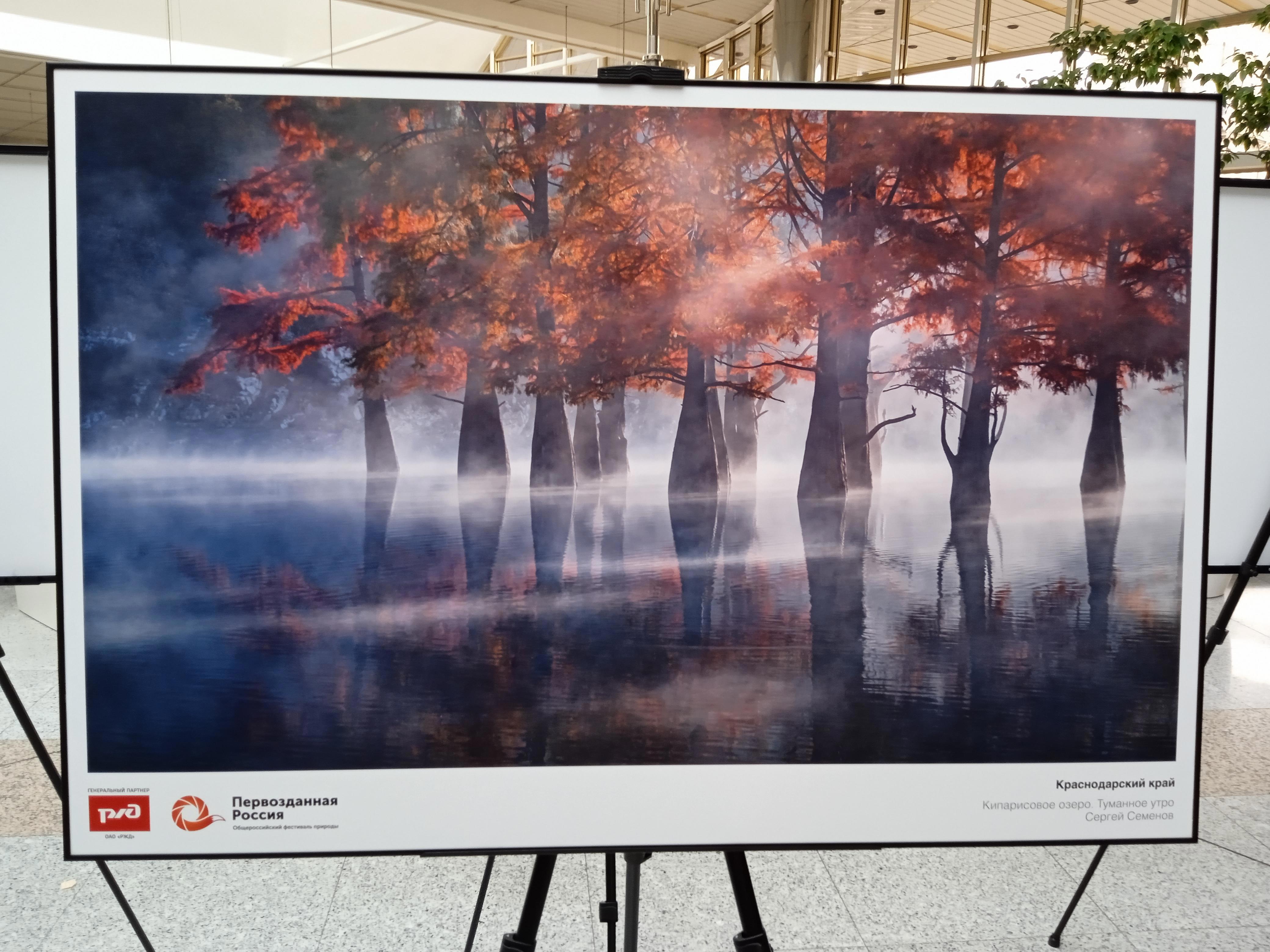 Стены те же, книги на полках те же, даже пыль на подоконнике лежит знакомыми узорами. Но я — не тот - Виктор Агеев-Полторжицкий