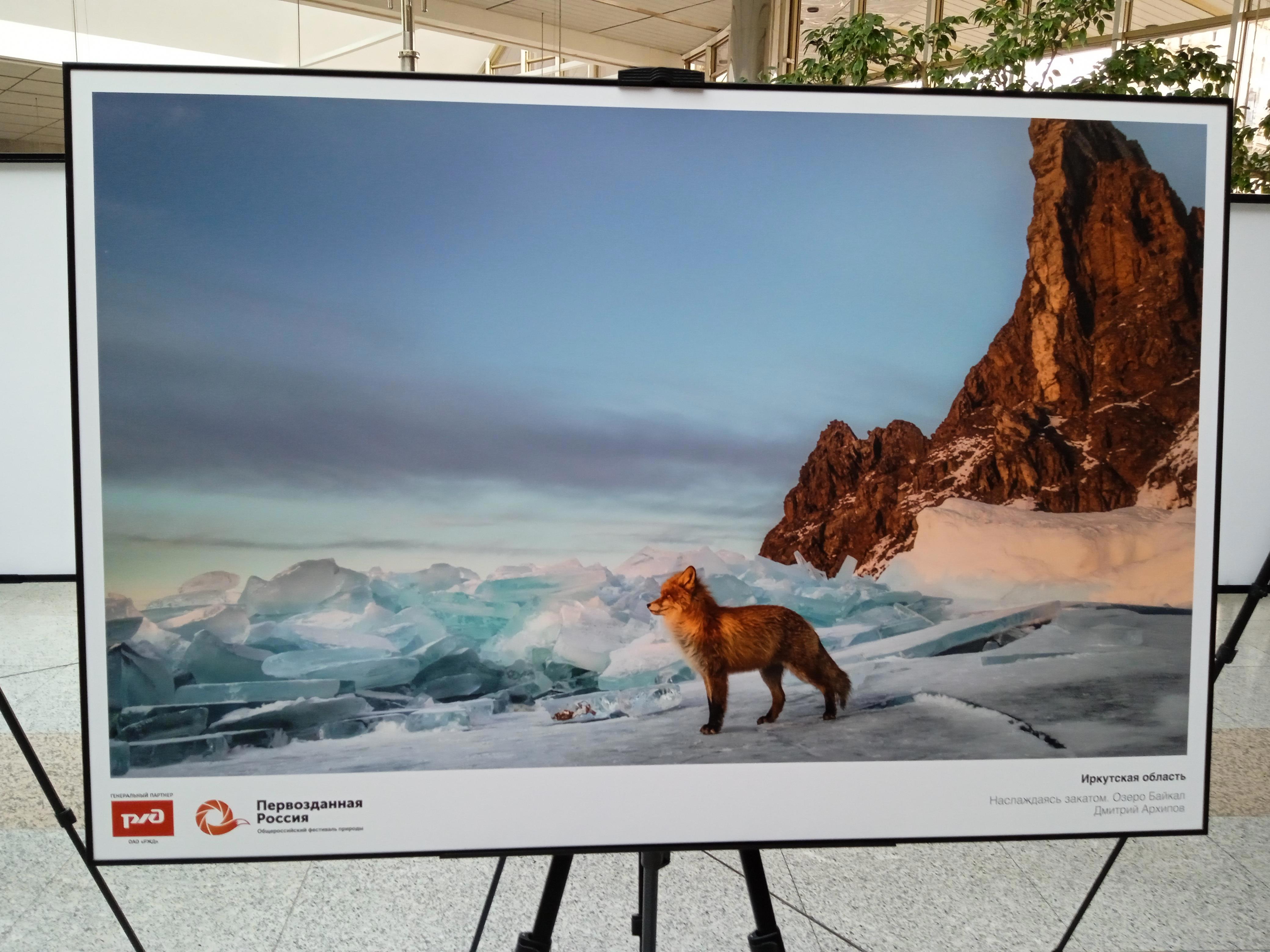 Стены те же, книги на полках те же, даже пыль на подоконнике лежит знакомыми узорами. Но я — не тот - Виктор Агеев-Полторжицкий