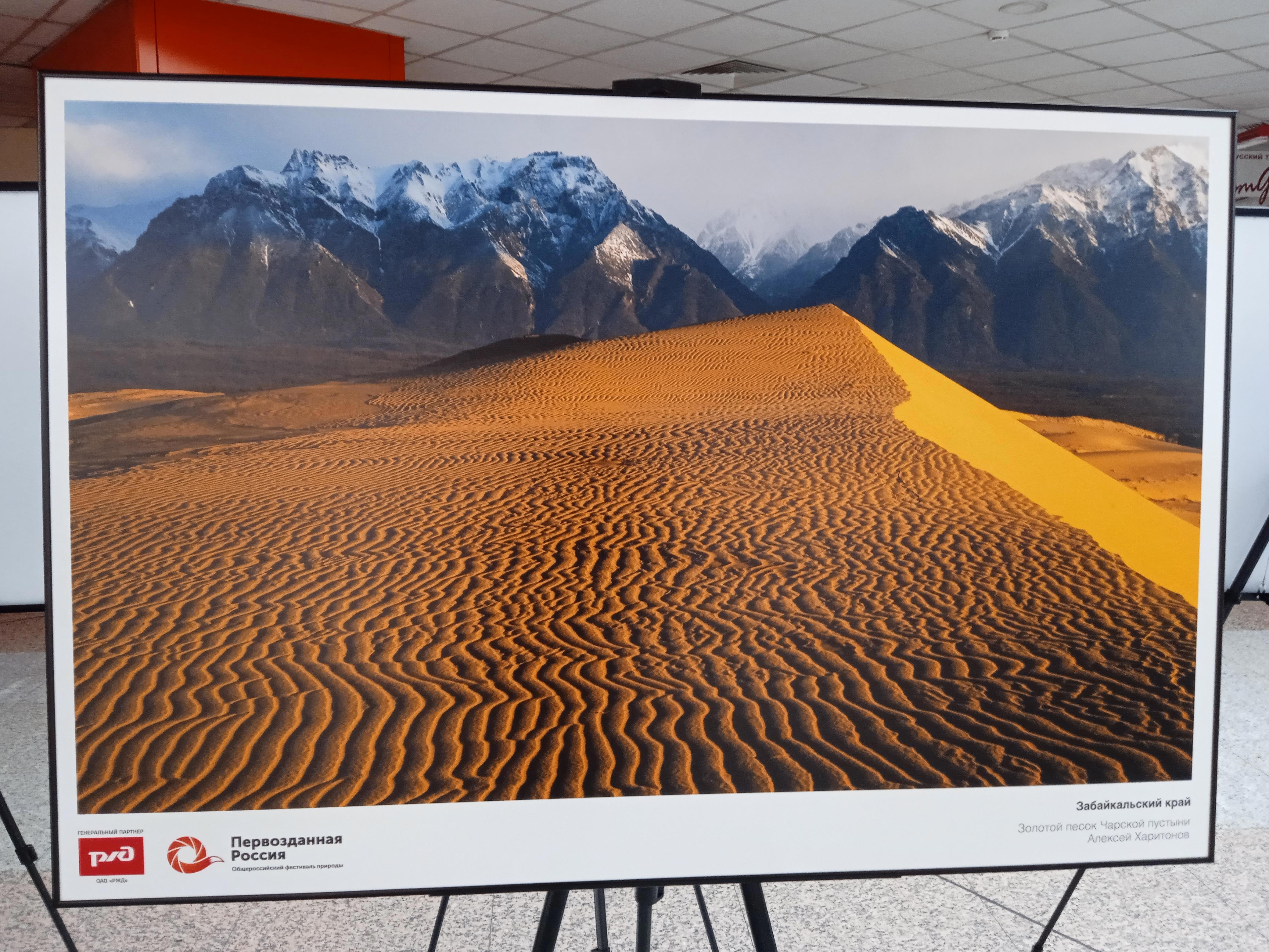 Стены те же, книги на полках те же, даже пыль на подоконнике лежит знакомыми узорами. Но я — не тот - Виктор Агеев-Полторжицкий