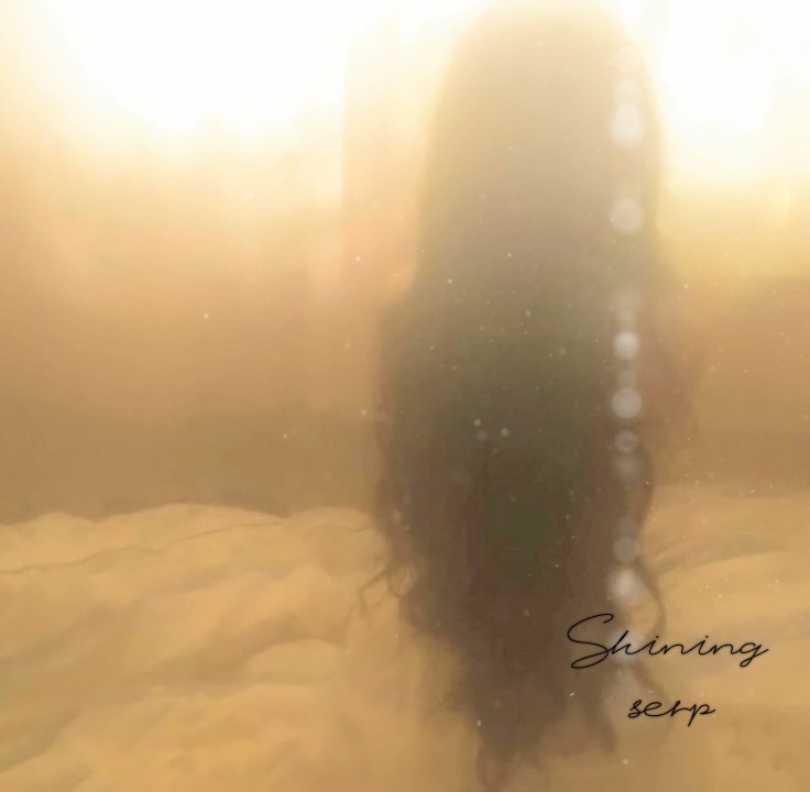 Обложка книги «Shining»