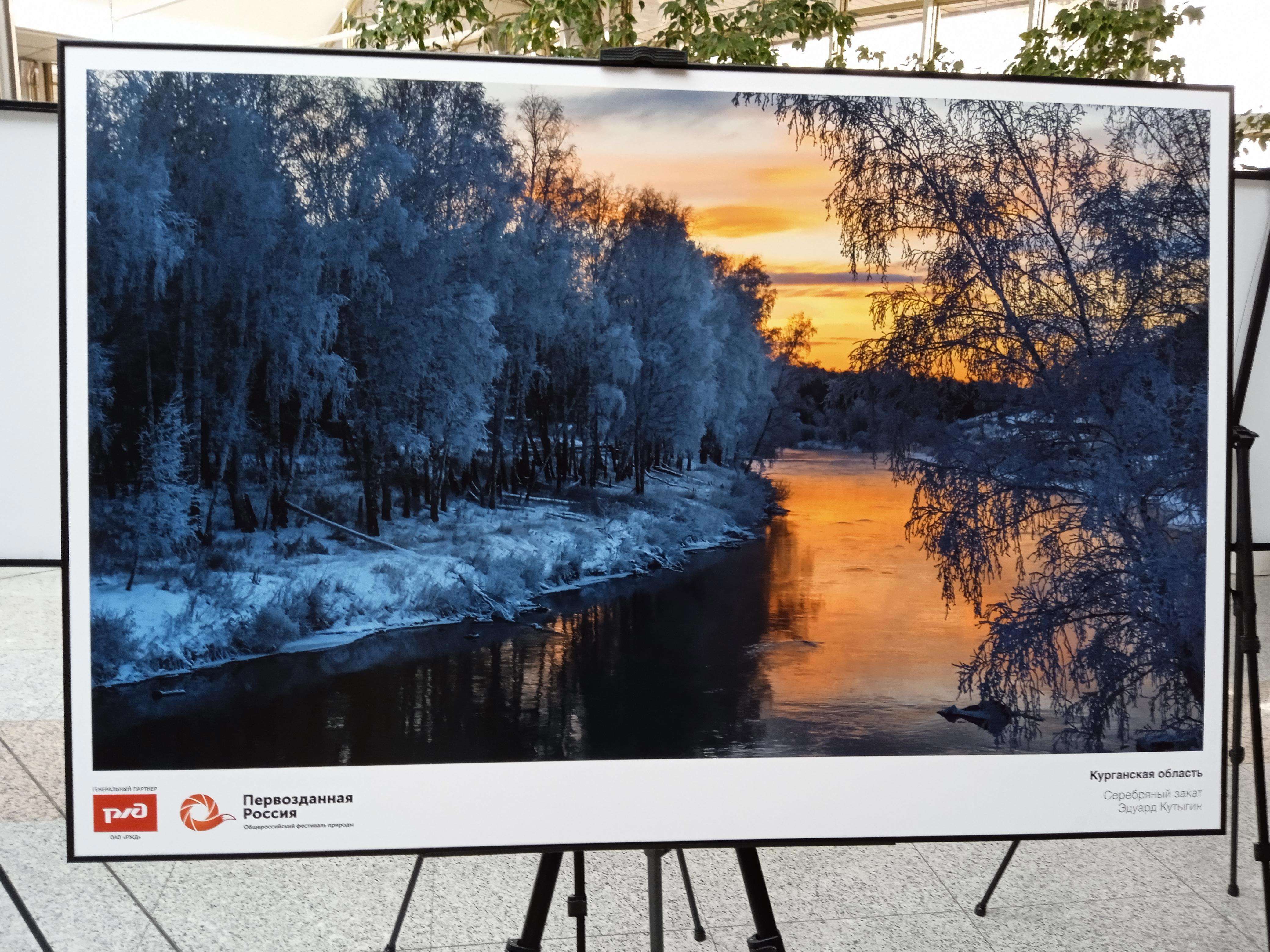 Стены те же, книги на полках те же, даже пыль на подоконнике лежит знакомыми узорами. Но я — не тот - Виктор Агеев-Полторжицкий