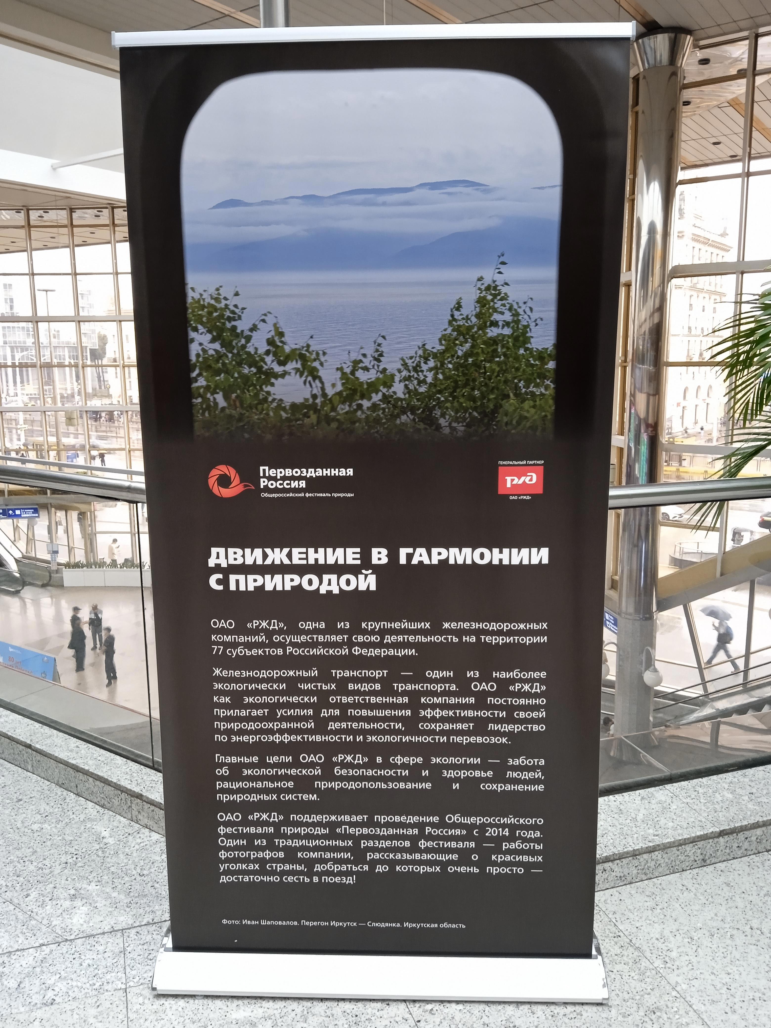 Стены те же, книги на полках те же, даже пыль на подоконнике лежит знакомыми узорами. Но я — не тот - Виктор Агеев-Полторжицкий