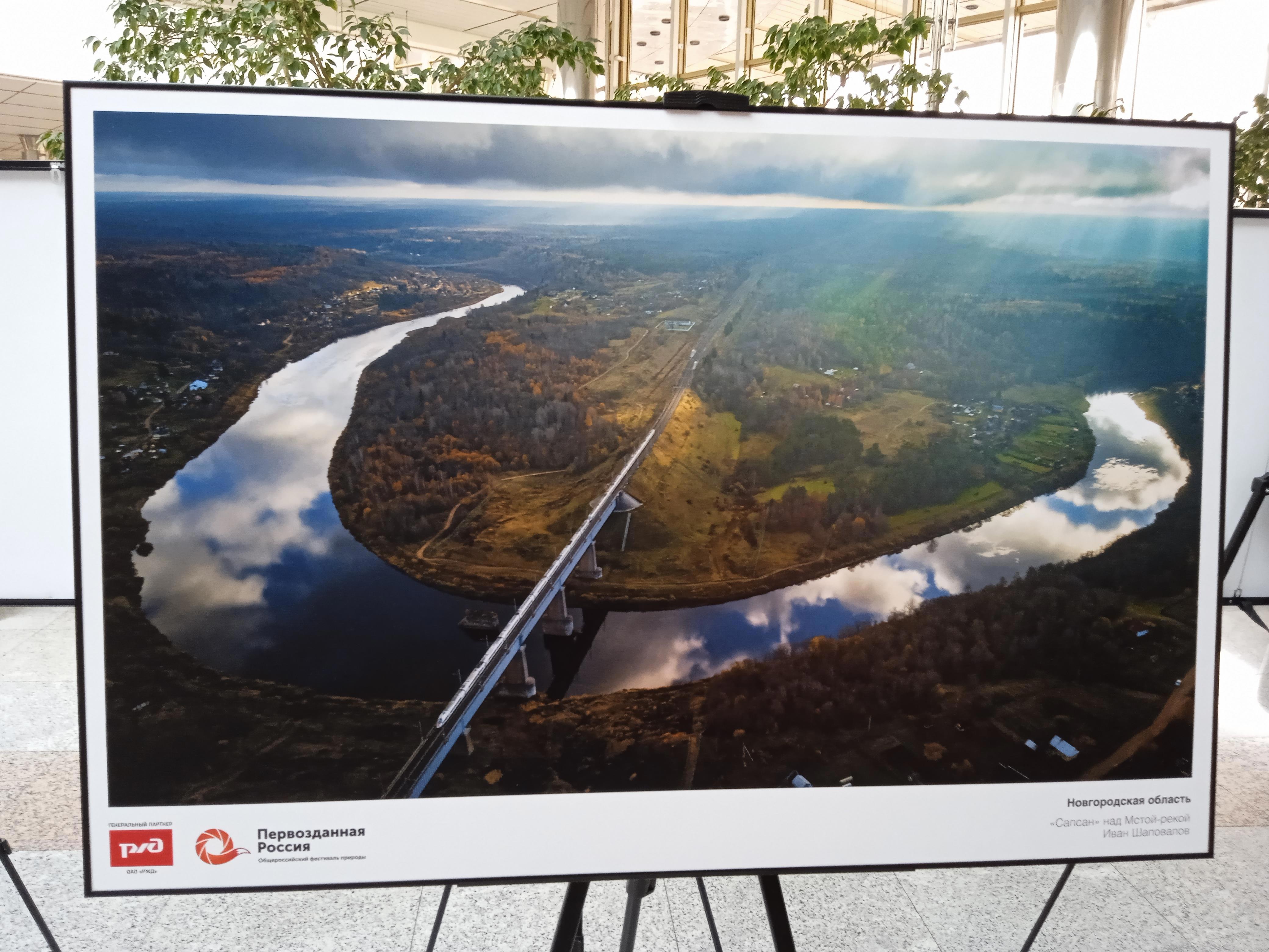 Стены те же, книги на полках те же, даже пыль на подоконнике лежит знакомыми узорами. Но я — не тот - Виктор Агеев-Полторжицкий