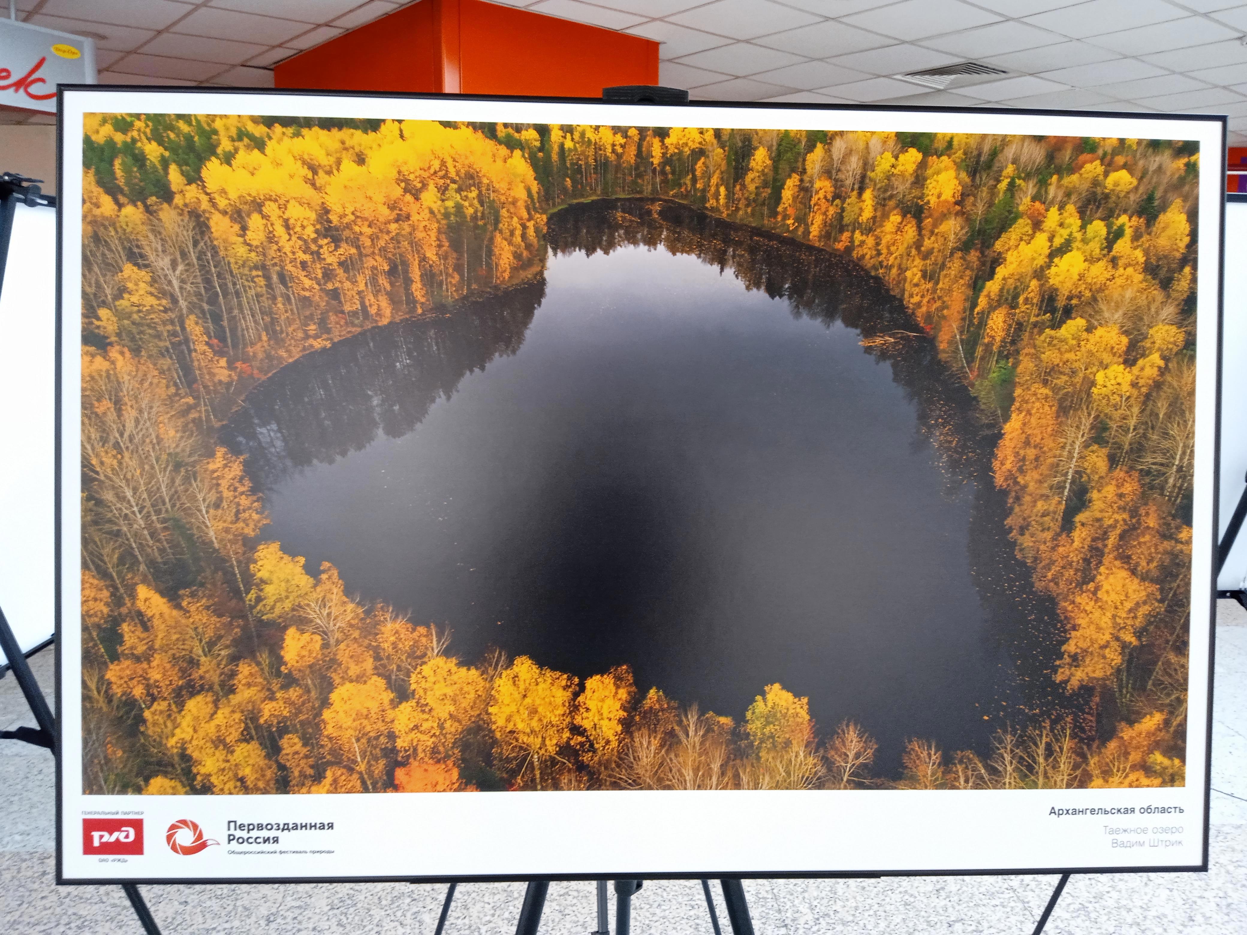 Стены те же, книги на полках те же, даже пыль на подоконнике лежит знакомыми узорами. Но я — не тот - Виктор Агеев-Полторжицкий