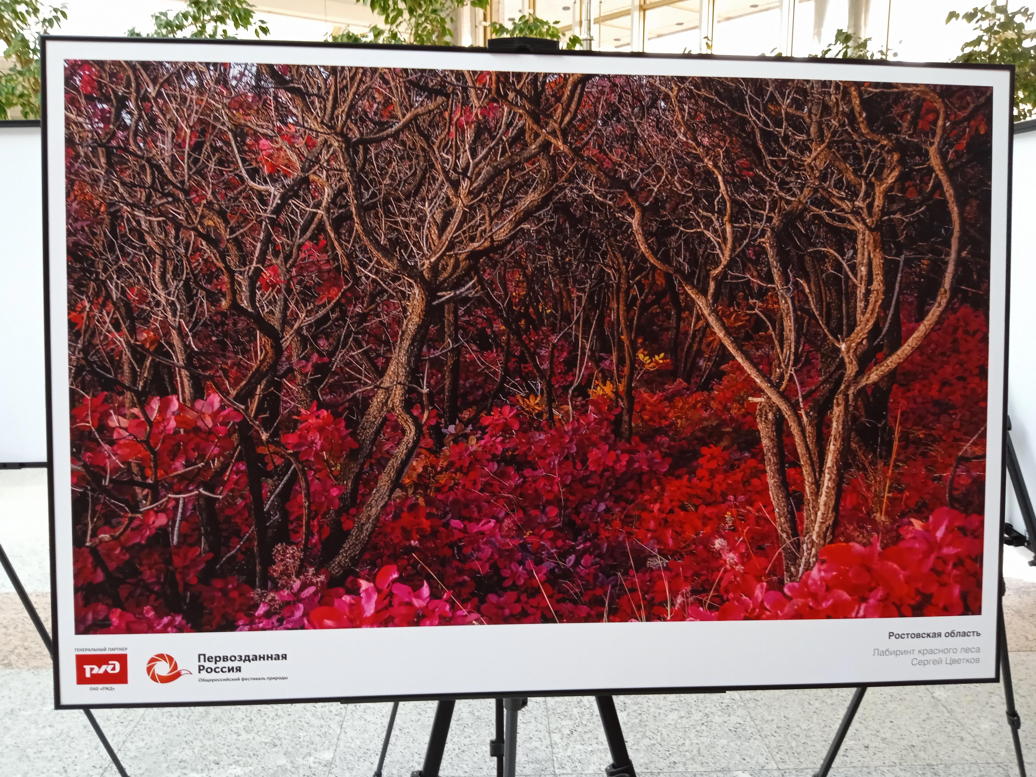 Стены те же, книги на полках те же, даже пыль на подоконнике лежит знакомыми узорами. Но я — не тот - Виктор Агеев-Полторжицкий