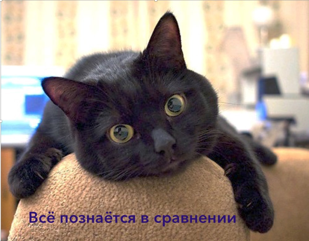 Обложка книги «Всё познаётся в сравнении»