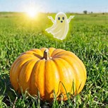 Обложка произведения Боги прячут солнце в тыквах