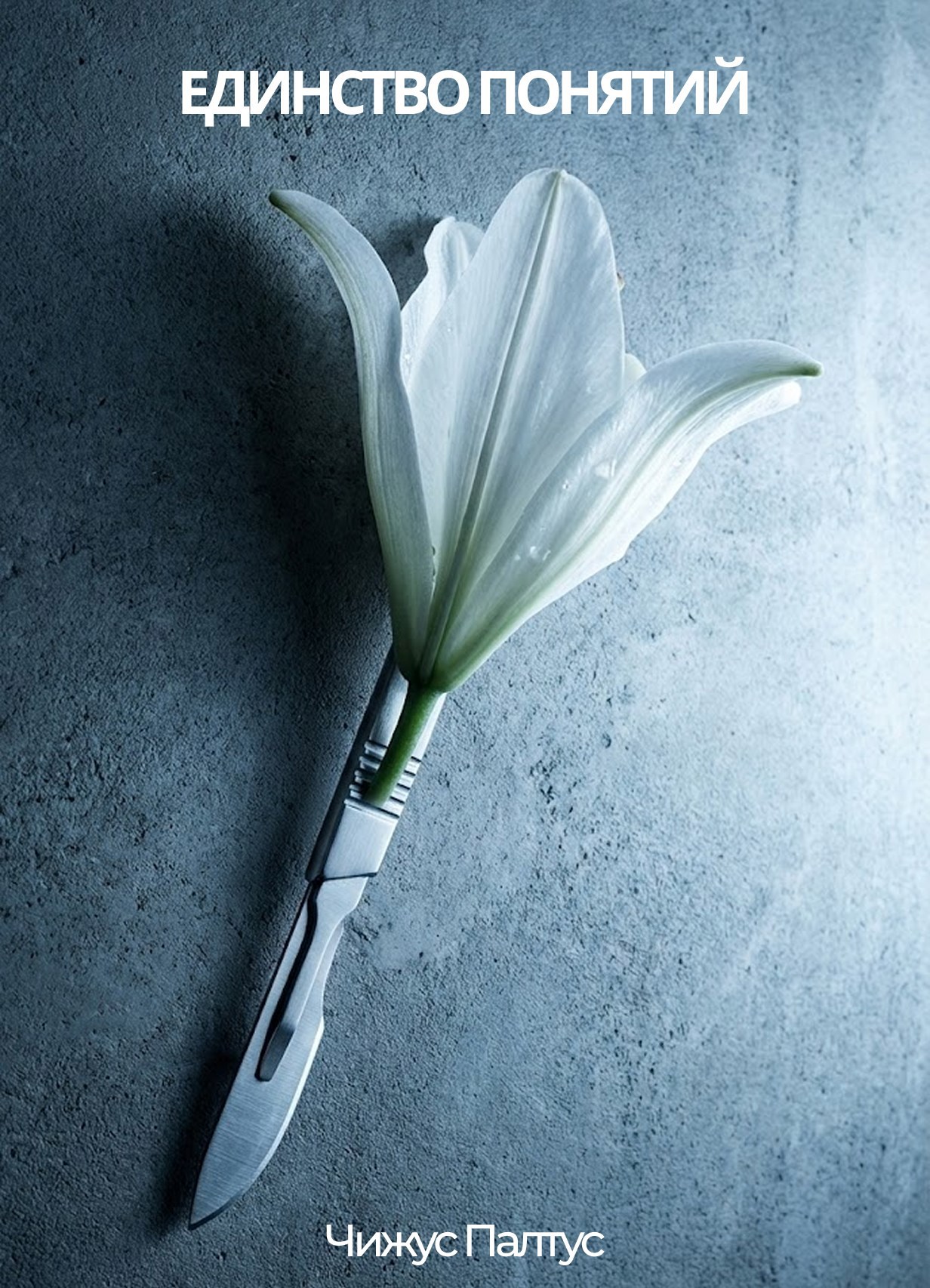 Обложка книги «Единство понятий»