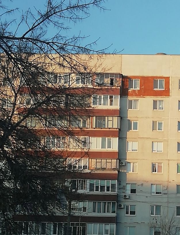 Обложка книги «Из записей (воспоминаний) учеников»