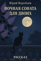 Обложка произведения Ночная соната для двоих