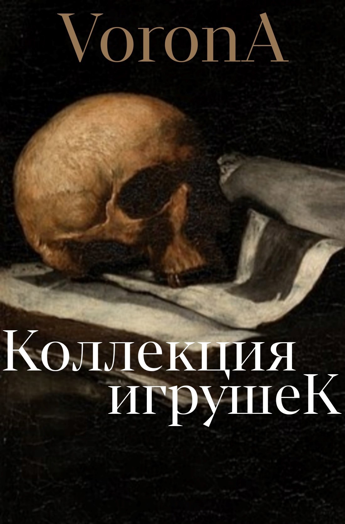 Обложка книги «Коллекция игрушек»