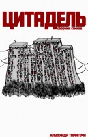 Обложка произведения ЦИТАДЕЛЬ(2021-2023) / СБОРНИК СТИХОВ